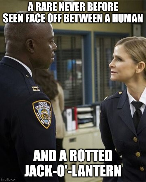 Wuntch got served | A RARE NEVER BEFORE SEEN FACE OFF BETWEEN A HUMAN; AND A ROTTED JACK-O'-LANTERN | image tagged in brooklyn nine nine,brooklyn 99,b99,captain holt,wuntch,rotted jack-o-lantern | made w/ Imgflip meme maker