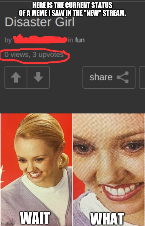HERE IS THE CURRENT STATUS OF A MEME I SAW IN THE "NEW" STREAM. WAIT; WHAT | image tagged in wait what | made w/ Imgflip meme maker