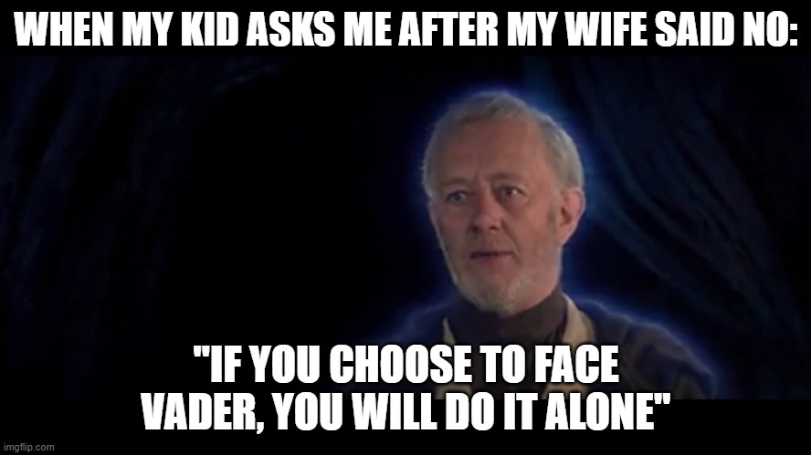 Daddy-Wan | WHEN MY KID ASKS ME AFTER MY WIFE SAID NO:; "IF YOU CHOOSE TO FACE VADER, YOU WILL DO IT ALONE" | image tagged in parenting | made w/ Imgflip meme maker