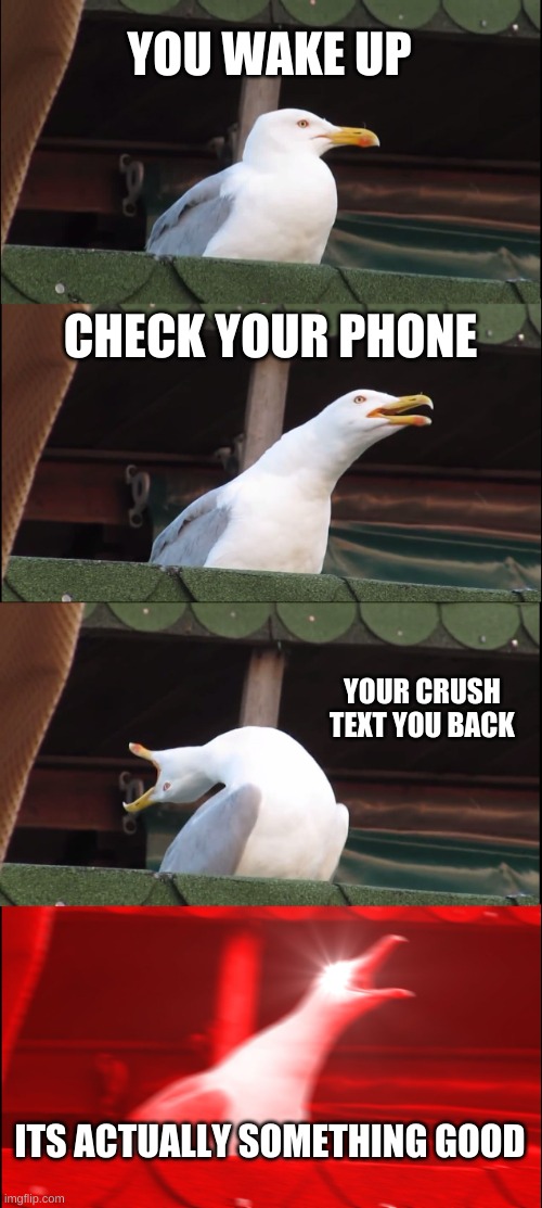 Inhaling Seagull Meme | YOU WAKE UP; CHECK YOUR PHONE; YOUR CRUSH TEXT YOU BACK; ITS ACTUALLY SOMETHING GOOD | image tagged in memes,inhaling seagull | made w/ Imgflip meme maker