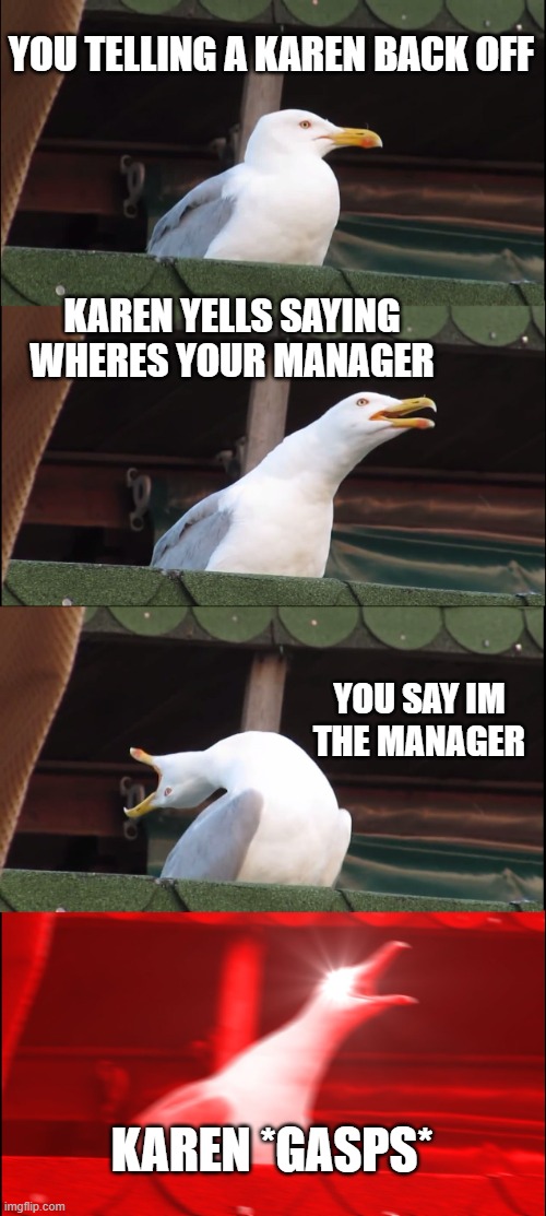 Manager Wins | YOU TELLING A KAREN BACK OFF; KAREN YELLS SAYING WHERES YOUR MANAGER; YOU SAY IM THE MANAGER; KAREN *GASPS* | image tagged in memes,inhaling seagull | made w/ Imgflip meme maker