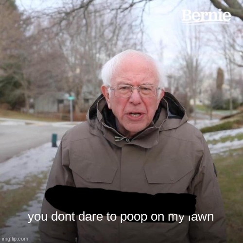 Bernie I Am Once Again Asking For Your Support Meme | you dont dare to poop on my lawn | image tagged in memes,bernie i am once again asking for your support | made w/ Imgflip meme maker