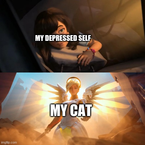 Girl being saved by glowing angel | MY DEPRESSED SELF; MY CAT | image tagged in girl being saved by glowing angel | made w/ Imgflip meme maker