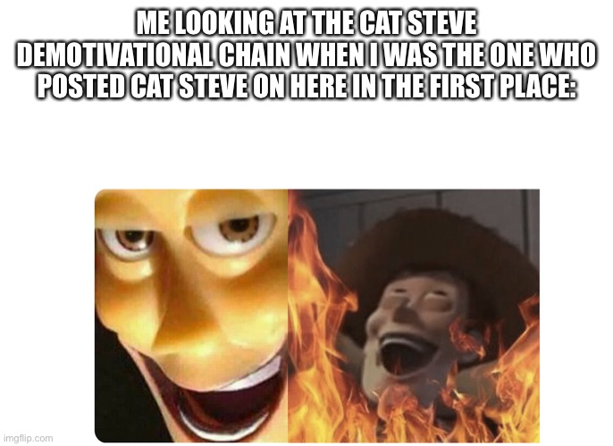 true story | ME LOOKING AT THE CAT STEVE DEMOTIVATIONAL CHAIN WHEN I WAS THE ONE WHO POSTED CAT STEVE ON HERE IN THE FIRST PLACE: | image tagged in memes,yes | made w/ Imgflip meme maker
