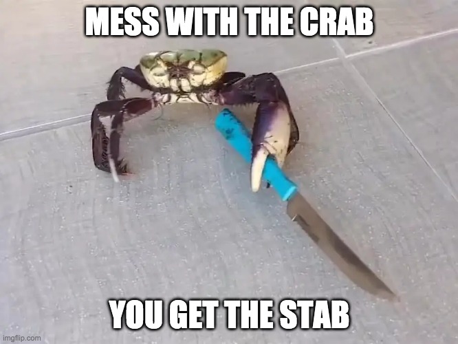 help | MESS WITH THE CRAB; YOU GET THE STAB | image tagged in crab | made w/ Imgflip meme maker