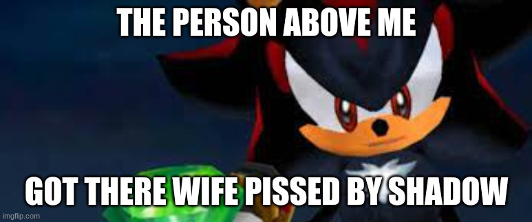 hot topic the hedgehog | THE PERSON ABOVE ME; GOT THERE WIFE PISSED BY SHADOW | image tagged in hot topic the hedgehog | made w/ Imgflip meme maker