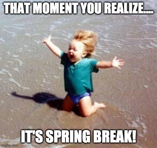 Spring Break | THAT MOMENT YOU REALIZE.... IT'S SPRING BREAK! | image tagged in celebration | made w/ Imgflip meme maker