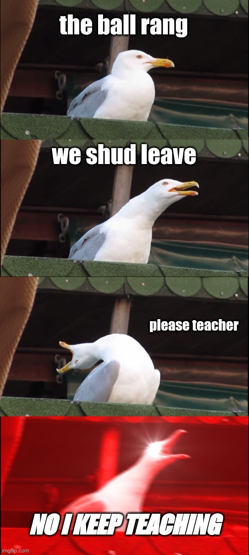 Inhaling Seagull | the ball rang; we shud leave; please teacher; NO I KEEP TEACHING | image tagged in memes,inhaling seagull | made w/ Imgflip meme maker
