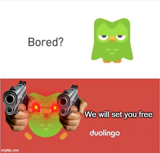 Death | We will set you free | image tagged in bored,duolingo bird,duolingo 5 in a row,memes,funny,death | made w/ Imgflip meme maker