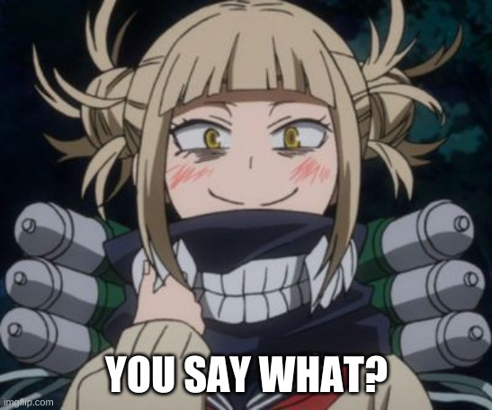 himiko toga | YOU SAY WHAT? | image tagged in himiko toga | made w/ Imgflip meme maker