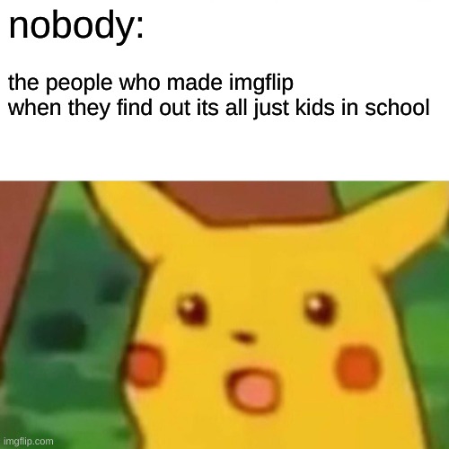 oh | nobody:; the people who made imgflip 
when they find out its all just kids in school | image tagged in memes,surprised pikachu | made w/ Imgflip meme maker