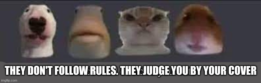 The council decides your fate-2 | THEY DON'T FOLLOW RULES. THEY JUDGE YOU BY YOUR COVER | image tagged in the council decides your fate-2 | made w/ Imgflip meme maker