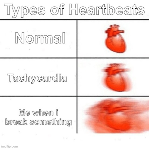 OH GOD MY HEART | Types of Heartbeats; Normal; Tachycardia; Me when i break something | image tagged in oh god my heart | made w/ Imgflip meme maker