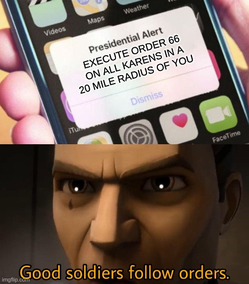 EXECUTE ORDER 66 ON ALL KARENS IN A 20 MILE RADIUS OF YOU | image tagged in presidential alert,good soldiers follow orders | made w/ Imgflip meme maker