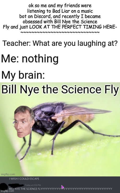 This is the true definition of "perfect timing". (credit for Science Fly goes to original creator) | ok so me and my friends were listening to Bad Liar on a music bot on Discord, and recently I became obsessed with Bill Nye the Science Fly and just LOOK AT THE PERFECT TIMING HERE-
~~~~~~~~~~~~~~~~~~~~~~~~~~~~~ | image tagged in bill nye,perfect timing | made w/ Imgflip meme maker