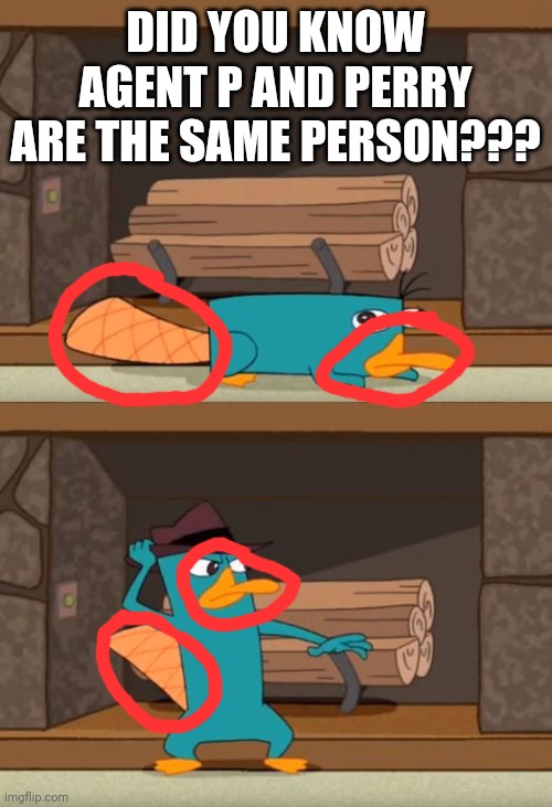 Perry the Platypus |  DID YOU KNOW AGENT P AND PERRY ARE THE SAME PERSON??? | image tagged in perry the platypus | made w/ Imgflip meme maker