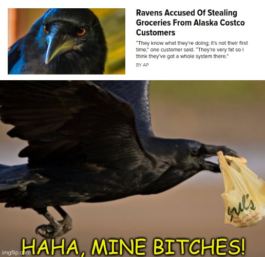 MINE | HAHA, MINE BITCHES! | image tagged in memes | made w/ Imgflip meme maker