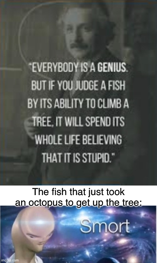 Meme man smort | The fish that just took an octopus to get up the tree: | image tagged in meme man smort,fish,albert einstein | made w/ Imgflip meme maker