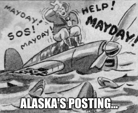 ALASKA'S POSTING... | made w/ Imgflip meme maker