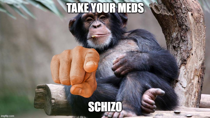 Chimp | TAKE YOUR MEDS; SCHIZO | image tagged in chimp | made w/ Imgflip meme maker