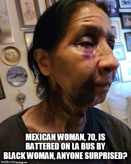 mexican | MEXICAN WOMAN, 70, IS BATTERED ON LA BUS BY BLACK WOMAN, ANYONE SURPRISED? | image tagged in mexican | made w/ Imgflip meme maker