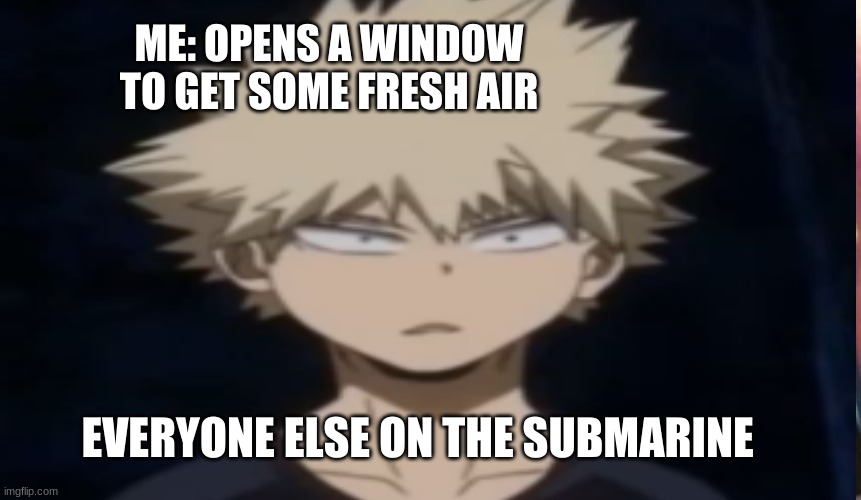 ME: OPENS A WINDOW TO GET SOME FRESH AIR; EVERYONE ELSE ON THE SUBMARINE | image tagged in funny memes,mha | made w/ Imgflip meme maker