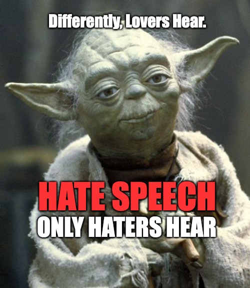 Maybe your could understand them better if you hated them more. | Differently, Lovers Hear. HATE SPEECH; ONLY HATERS HEAR | image tagged in yoda,hate speech,love wins | made w/ Imgflip meme maker