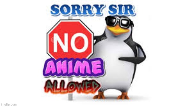 be cool. don't do anime kids | image tagged in no anime allowed,joke | made w/ Imgflip meme maker