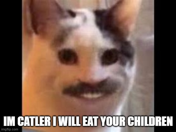 weird post | IM CATLER I WILL EAT YOUR CHILDREN | image tagged in hitler cat | made w/ Imgflip meme maker