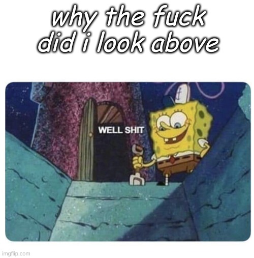 Well shit.  Spongebob edition | why the fuck did i look above | image tagged in well shit spongebob edition | made w/ Imgflip meme maker