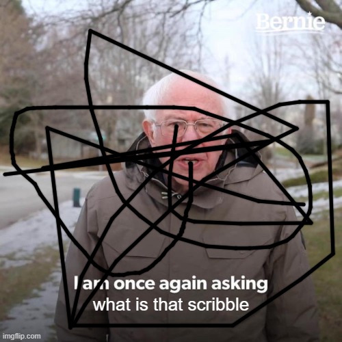 Bernie I Am Once Again Asking For Your Support Meme | what is that scribble | image tagged in memes,bernie i am once again asking for your support | made w/ Imgflip meme maker