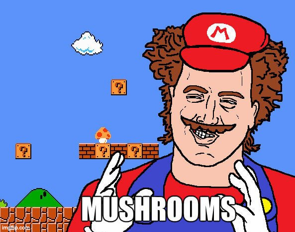 image tagged in mario,ancient aliens | made w/ Imgflip meme maker