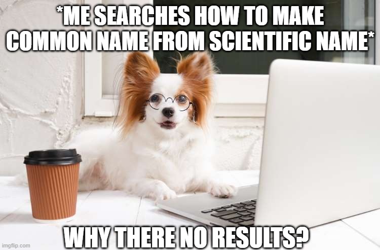 idk | *ME SEARCHES HOW TO MAKE COMMON NAME FROM SCIENTIFIC NAME*; WHY THERE NO RESULTS? | image tagged in dog confused on computer | made w/ Imgflip meme maker