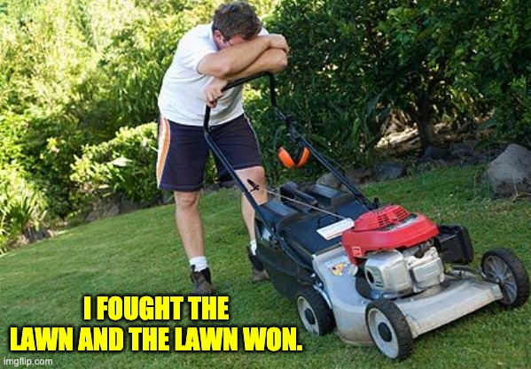 Lawn | I FOUGHT THE LAWN AND THE LAWN WON. | image tagged in mowing the lawn | made w/ Imgflip meme maker