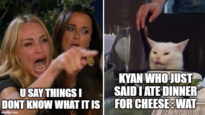 Angry lady cat | U SAY THINGS I DONT KNOW WHAT IT IS; KYAN WHO JUST SAID I ATE DINNER FOR CHEESE : WAT | image tagged in angry lady cat,memes | made w/ Imgflip meme maker