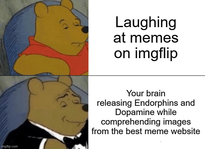 Winnie the pooh | Laughing at memes on imgflip; Your brain releasing Endorphins and Dopamine while comprehending images from the best meme website | image tagged in memes,tuxedo winnie the pooh | made w/ Imgflip meme maker