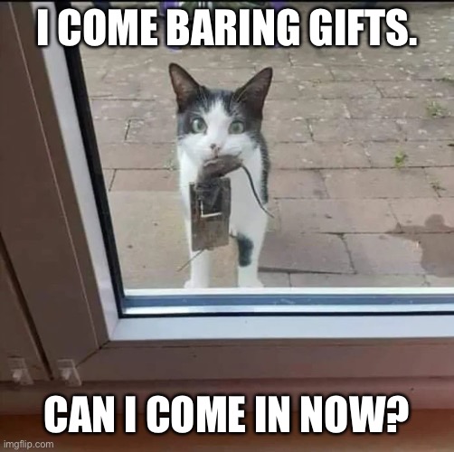 cat mouse trap | I COME BARING GIFTS. CAN I COME IN NOW? | image tagged in cat mouse trap | made w/ Imgflip meme maker