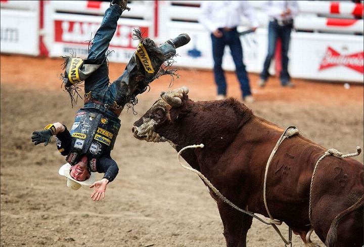 Bull Rider Blank Meme Template