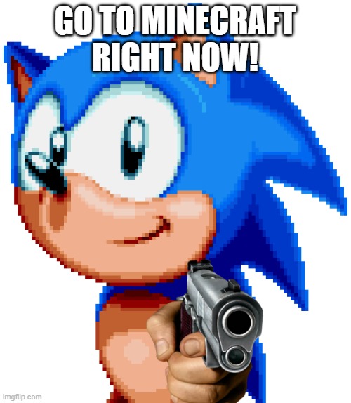 sonic with a gun | GO TO MINECRAFT RIGHT NOW! | image tagged in sonic with a gun | made w/ Imgflip meme maker