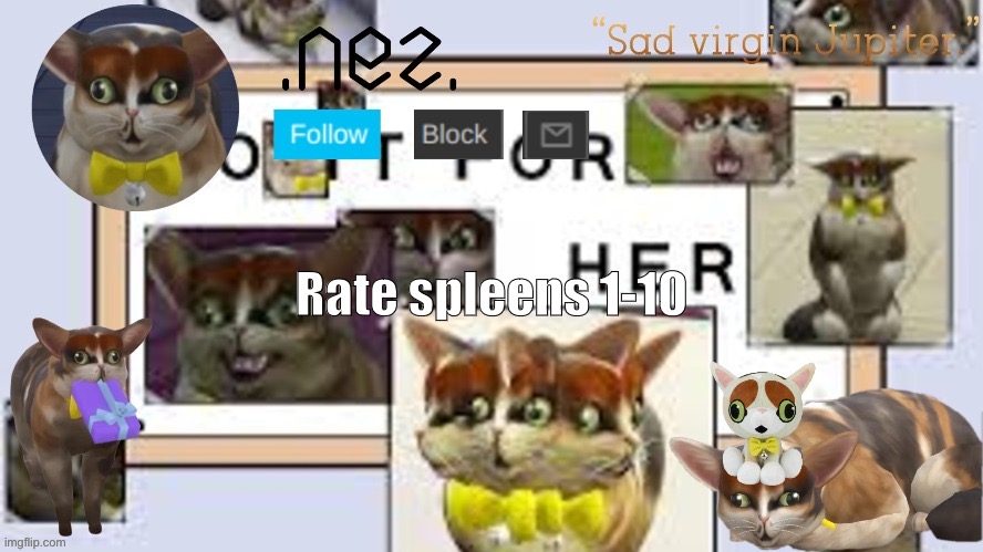 Spleens | Rate spleens 1-10 | image tagged in spleens | made w/ Imgflip meme maker