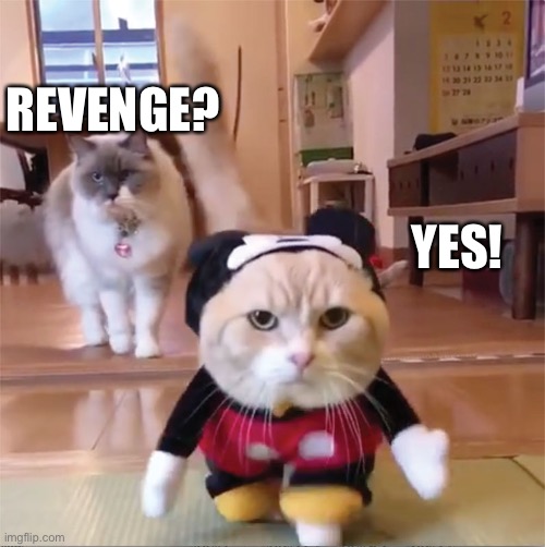 mickey mouse cat house | REVENGE? YES! | image tagged in mickey mouse cat house | made w/ Imgflip meme maker