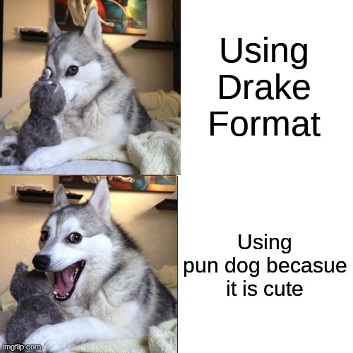 Pun dog version of drake | Using Drake Format; Using pun dog becasue it is cute | image tagged in drake hotline bling,bad pun dog,dogs,memes,puns,doggos | made w/ Imgflip meme maker