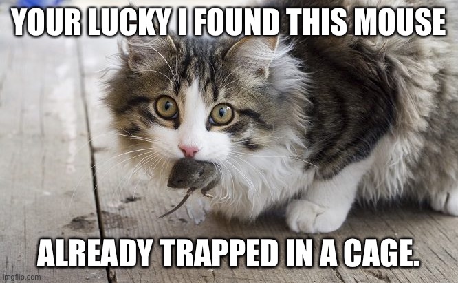 Cat With Mouse | YOUR LUCKY I FOUND THIS MOUSE; ALREADY TRAPPED IN A CAGE. | image tagged in cat with mouse | made w/ Imgflip meme maker