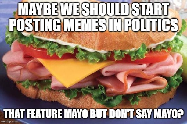 Sandwich | MAYBE WE SHOULD START POSTING MEMES IN POLITICS; THAT FEATURE MAYO BUT DON'T SAY MAYO? | image tagged in sandwich | made w/ Imgflip meme maker