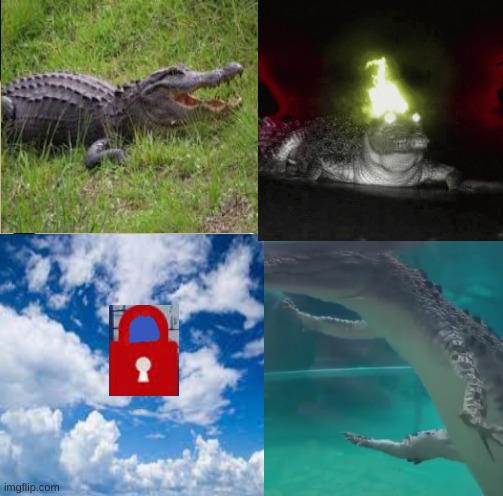 The 4 Elemental Gators | image tagged in gators,elements,funny meme | made w/ Imgflip meme maker