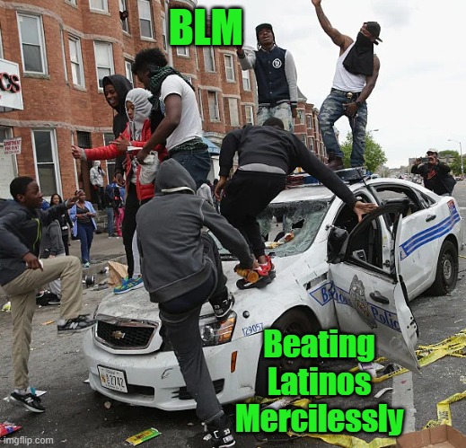 BLM | BLM Beating
Latinos
Mercilessly | image tagged in blm | made w/ Imgflip meme maker