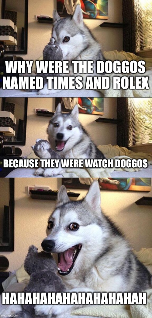 Bad Pun Dog Meme | WHY WERE THE DOGGOS NAMED TIMES AND ROLEX; BECAUSE THEY WERE WATCH DOGGOS; HAHAHAHAHAHAHAHAHAH | image tagged in memes,bad pun dog | made w/ Imgflip meme maker