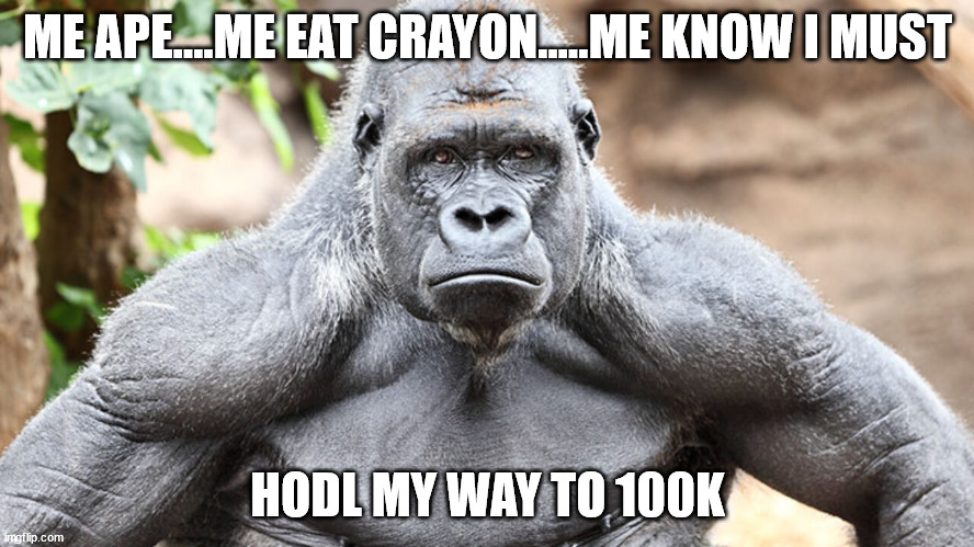 hodl ape | ME APE....ME EAT CRAYON.....ME KNOW I MUST; HODL MY WAY TO 100K | image tagged in strong ape holding gme,hodl,amc,100k | made w/ Imgflip meme maker