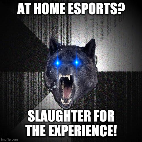 eSports - INSANITY WOLF | AT HOME ESPORTS? SLAUGHTER FOR THE EXPERIENCE! | image tagged in memes,insanity wolf | made w/ Imgflip meme maker