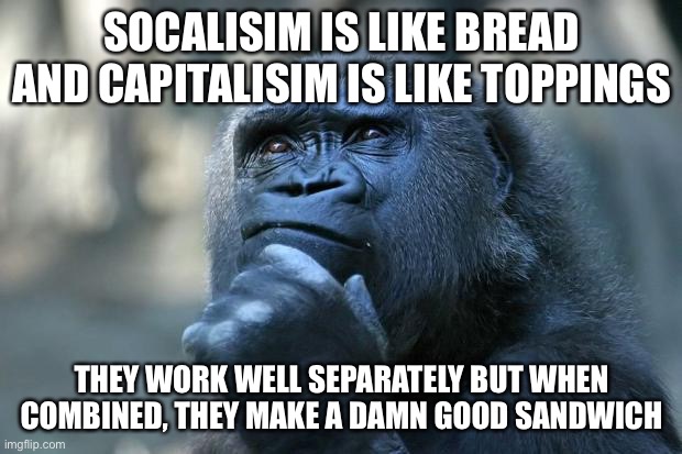 Deep Thoughts | SOCALISIM IS LIKE BREAD AND CAPITALISIM IS LIKE TOPPINGS; THEY WORK WELL SEPARATELY BUT WHEN COMBINED, THEY MAKE A DAMN GOOD SANDWICH | image tagged in deep thoughts | made w/ Imgflip meme maker